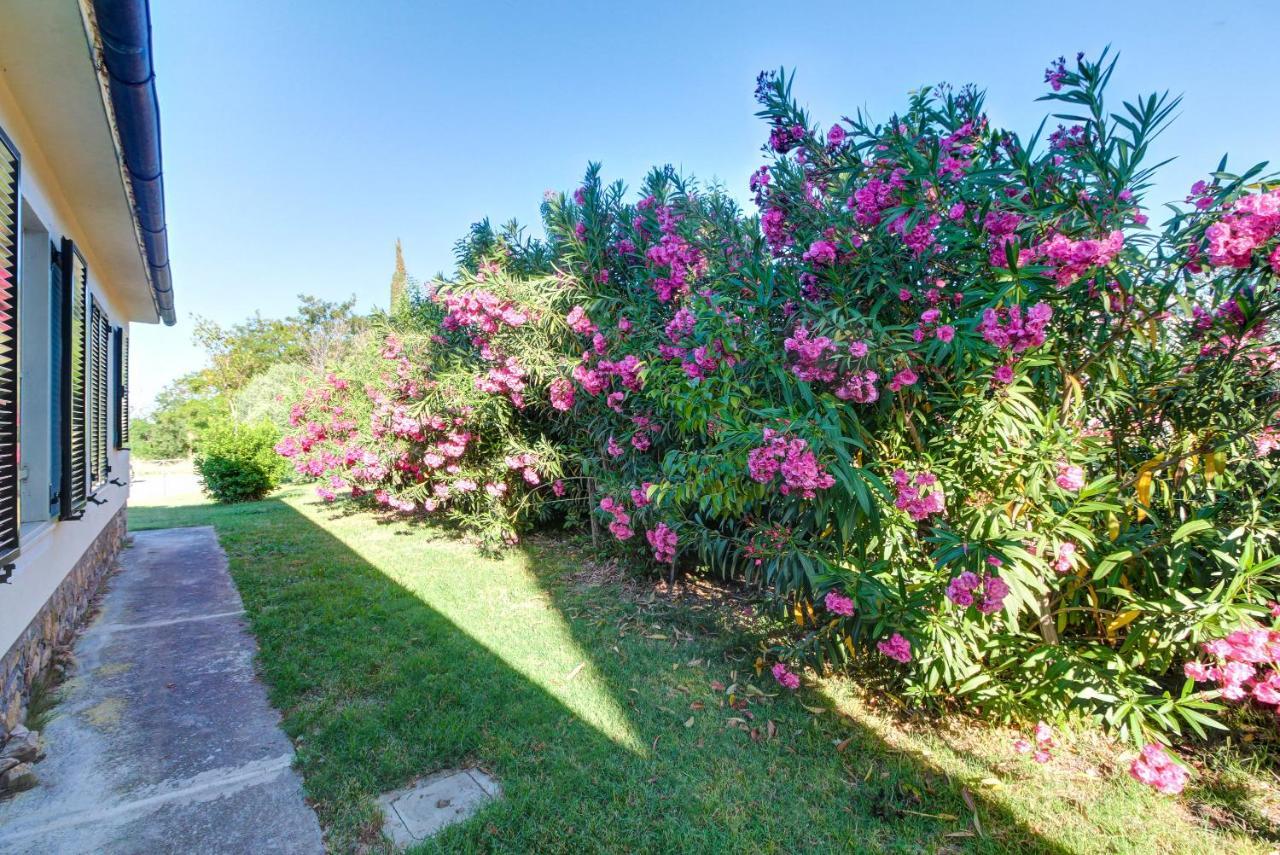 Artemisia Negli Ulivi B&B Мальяно-ин-Тоскана Экстерьер фото